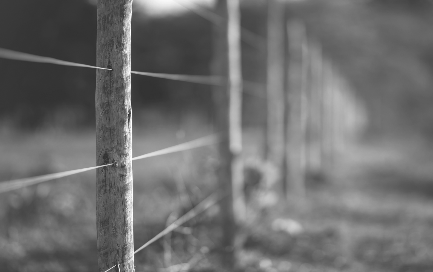 Rsz 1output onlinejpgtools