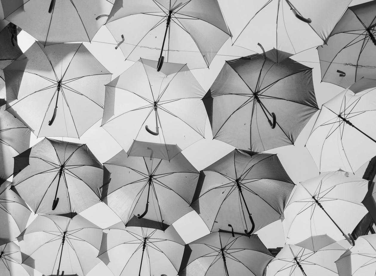 Rsz 1output onlinejpgtools