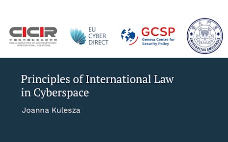 Principles of international law in cyberspace (4)