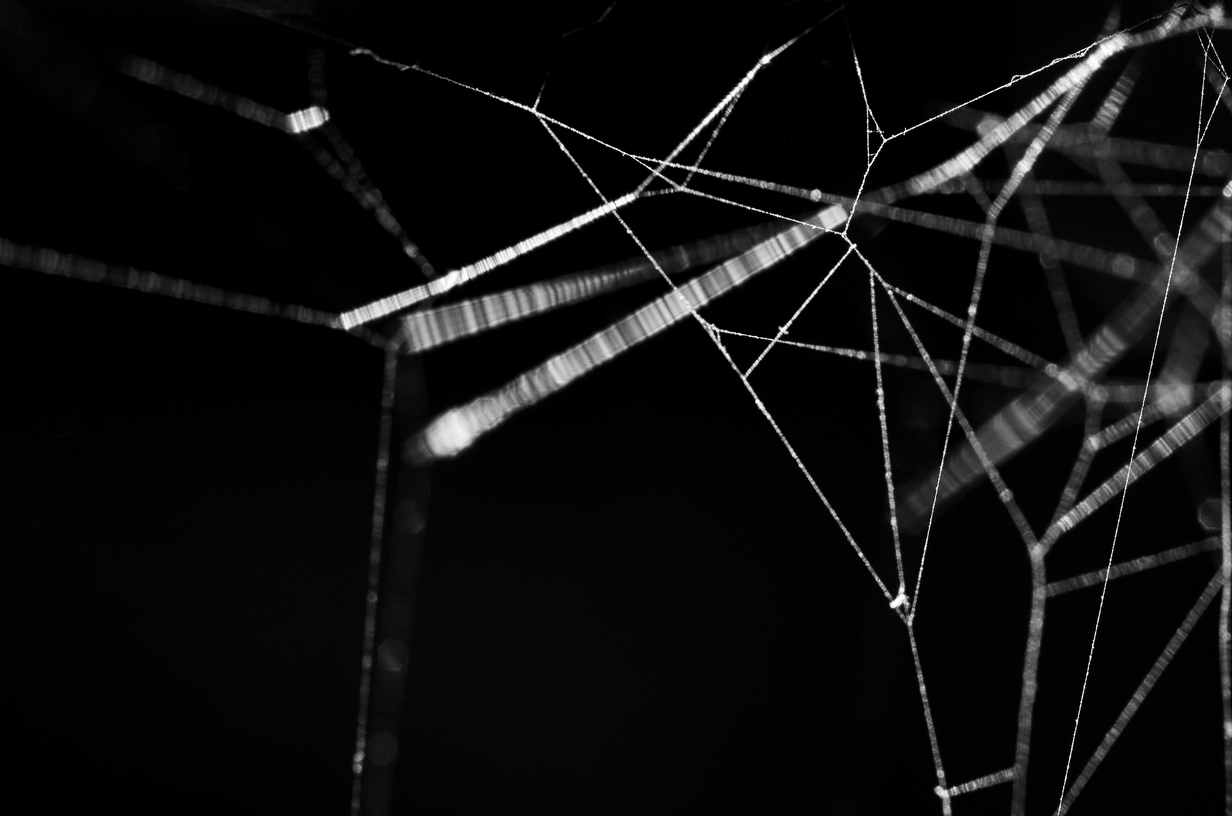 Digital sovereignty ukraine