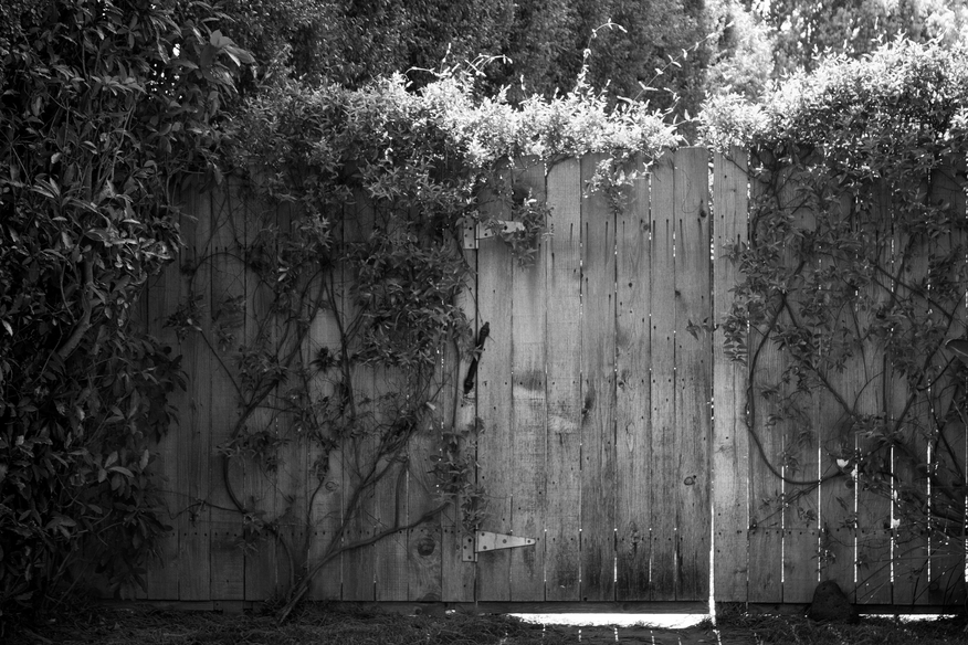 Rsz 2output onlinejpgtools 1